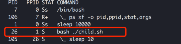容器中的孤儿进程&僵尸进程简介插图6