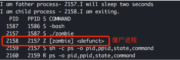 容器中的孤儿进程&僵尸进程简介插图1